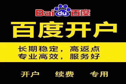 百度竞价包年全解析：成功案例分享